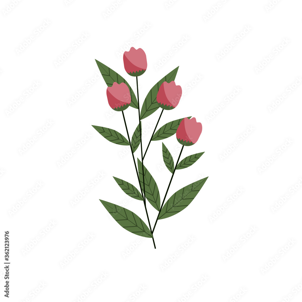 bouquet of pink roses isolated on white background.