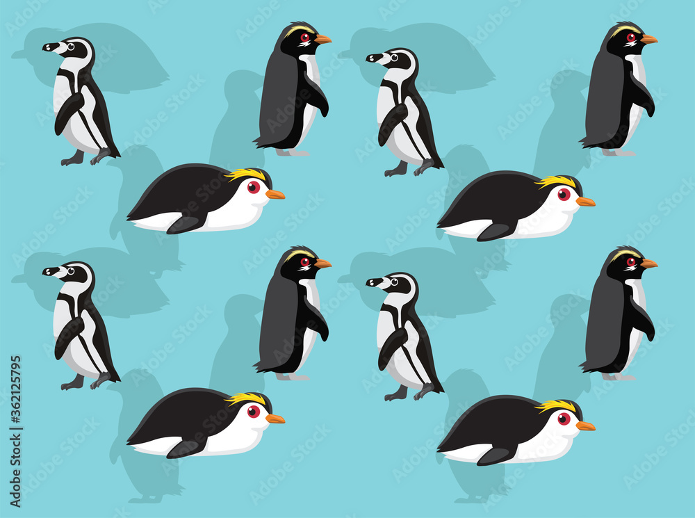 Obraz premium Various Penguins Royal Madagascar Fiorland Vector Seamless Background Wallpaper-01