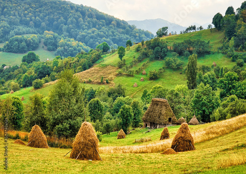 Romanian hovel with thatch and straw bundles near, in beautiful wild country. Romanian rurality with typical building with straw roof. photo