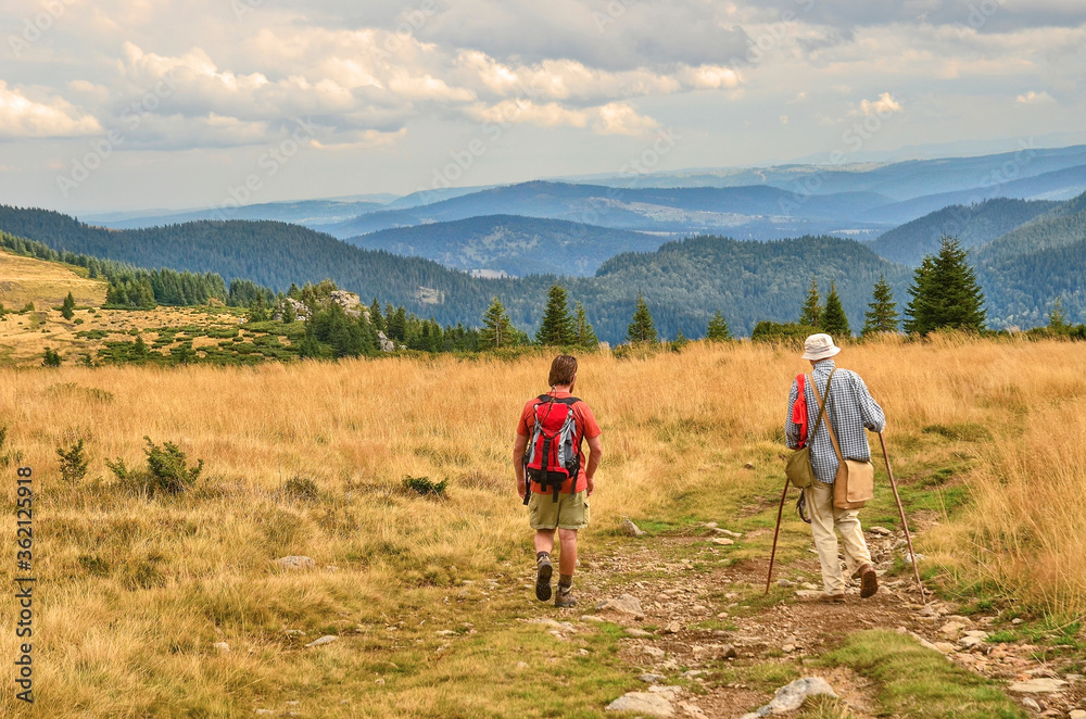 Naklejka premium Two friends hiking in a beautiful mountain environment. Older gentleman and younger friend talk peacefully in beautiful nature. A harmonious walk through the Romanian countryside in the evening.