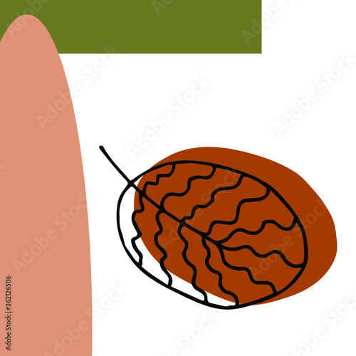 Leaves of the line. Abstract pictures. Vector image.