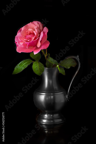 pink rose in a vase red isolated
