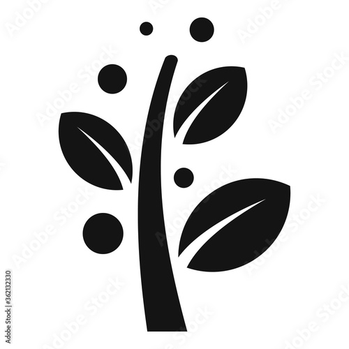 Barberry plant icon. Simple illustration of barberry plant vector icon for web design isolated on white background