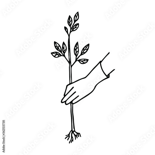 Hand drawn illustration of a tree planting. A gloved hand and a plant. A simple outline, a Doodle style sketch.