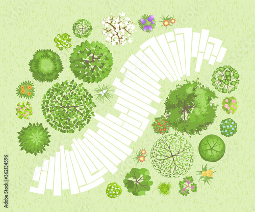 Vector illustration. Landscape design. Top view. Path, trees and flowers. View from above.