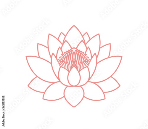 Lotus flower outline. Isolated lotus on white background
