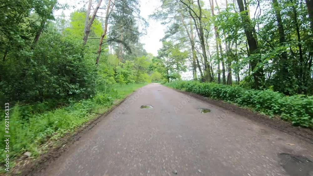 Hyperlapse. The camera moves along a forest road. Around the green trees. Hyperlapse. The camera moves along a forest road. Around the green trees.