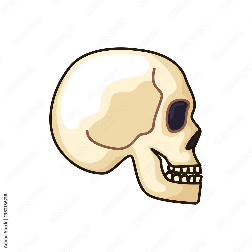 human skeleton icon isolated on white background. vector illustration human skeleton icon isolated on white background. vector illustration