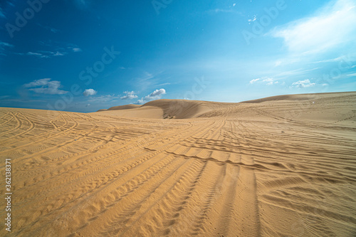 sand dunes in the desert