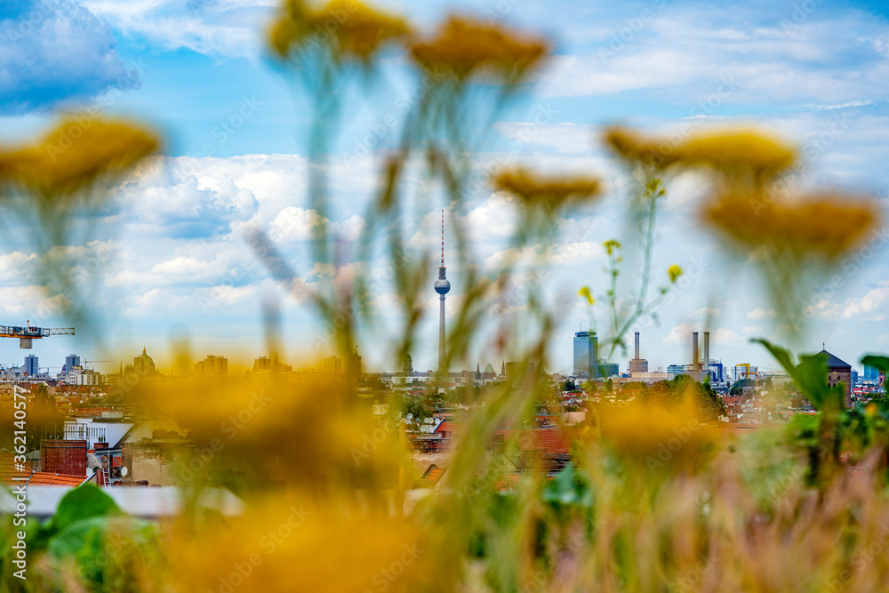 Berlin Horizont mit Fernsehturm und Blumen, Pflanzen.