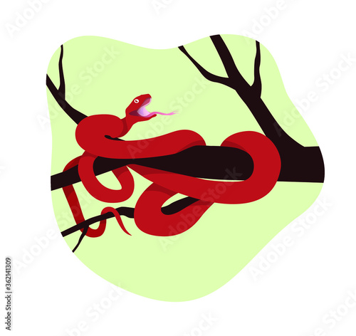Snake on the tree. Red snake with open mouth. Long tongue. Green background. Dry tree