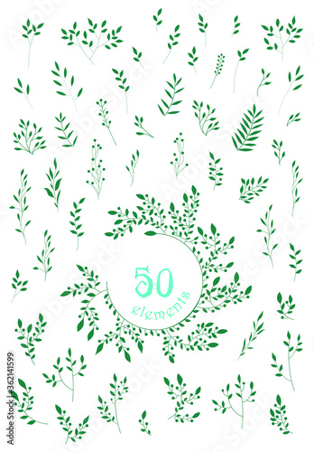 Floral set. 50 floral elements in one set. Graphic elements.