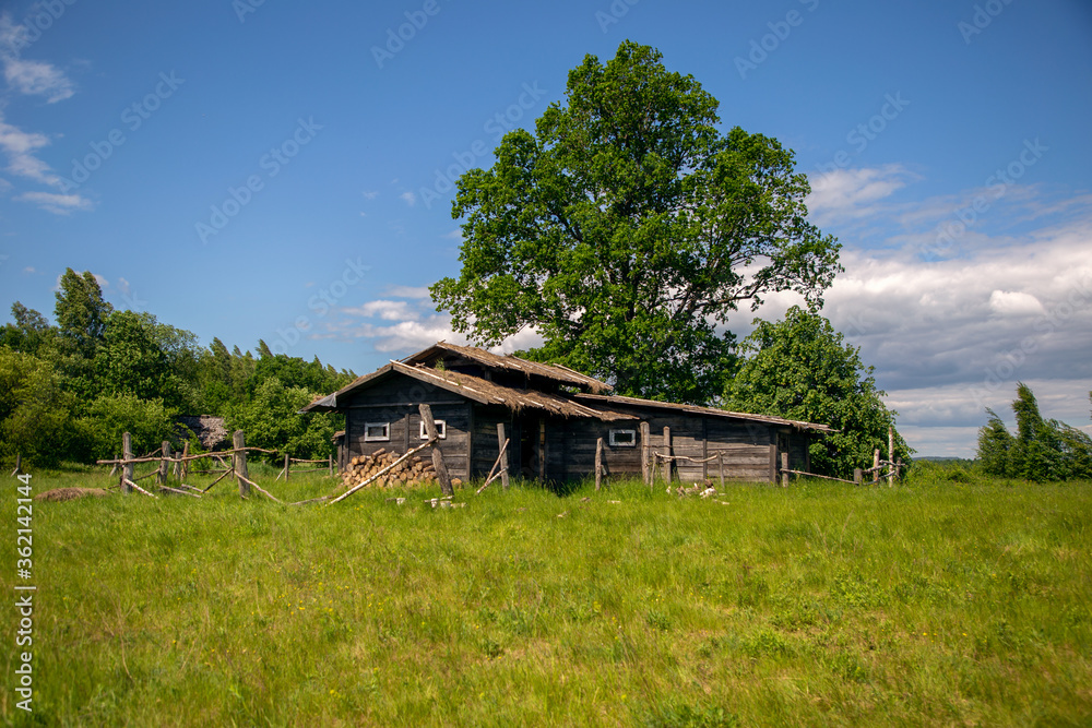 view of wooden houses in the Russian village view of wooden houses in the Russian village