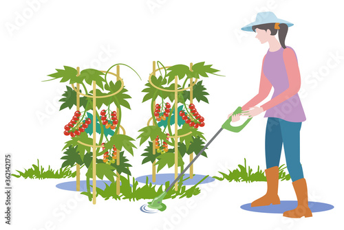 家庭菜園-電動芝刈り機で雑草を刈る女性