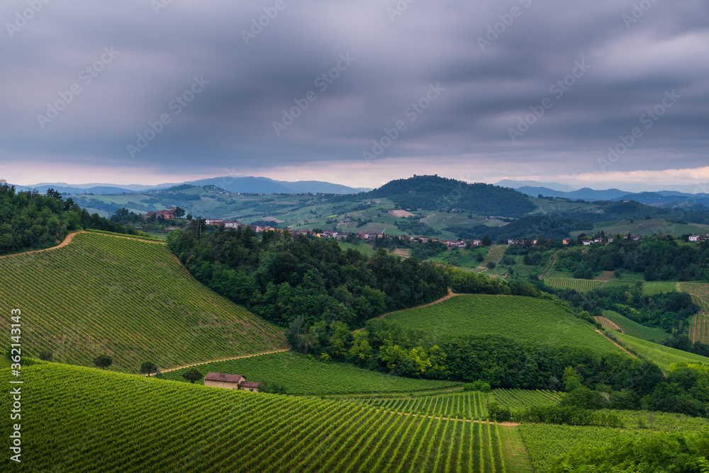 Oltrepo' Pavese landscape with wineyards and Montalto castle in a cloudy day
