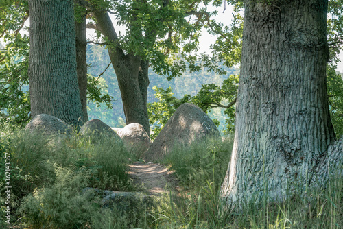 The prehistoric stones and megalith monuments at Lancken Granitz photo