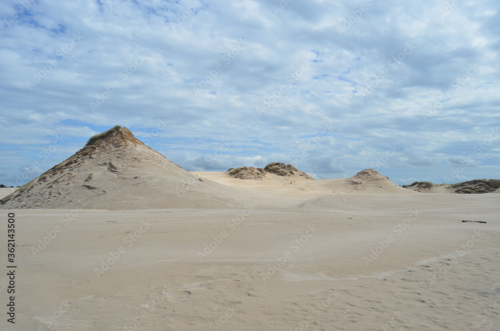 sand dunes, desert in Łeba