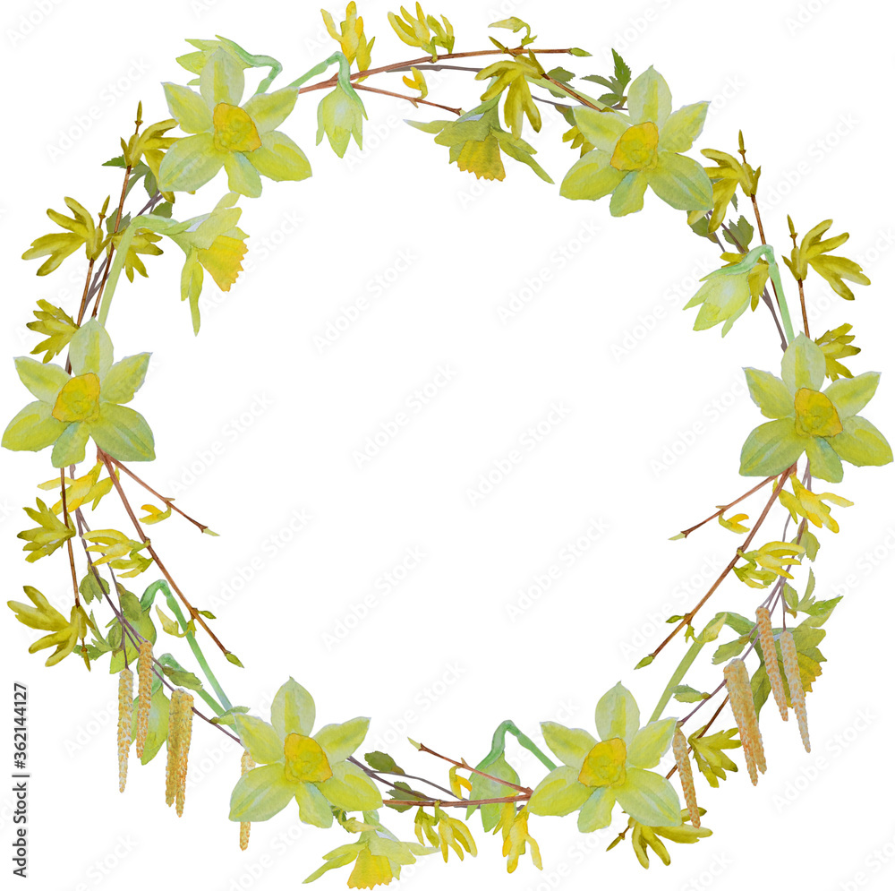 Naklejka premium Wreath of spring flowers. Watercolor background with daffodils, forsythia and birch branch.
