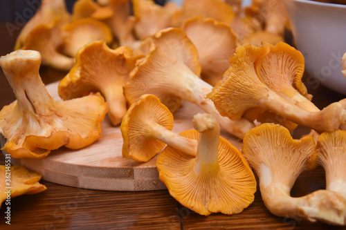 Chanterelle mushrooms, Raw wild chanterelles mushroom ready for cooking. Food background with organic fresh chanterelle mushrooms