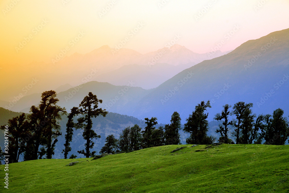 Beautiful scenic landscape of chopta / Tungnath, uttarakhand, india.