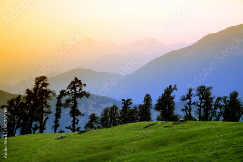 Beautiful scenic landscape of chopta / Tungnath, uttarakhand, india. photo