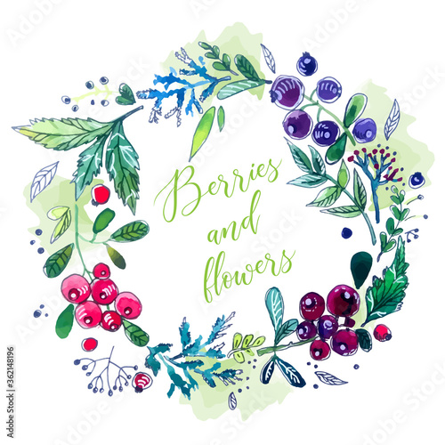 Fototapeta Naklejka Na Ścianę i Meble -  Forest berries and flowers. Vector illustration