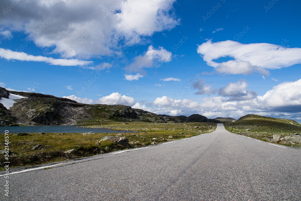 road in nordic landscape