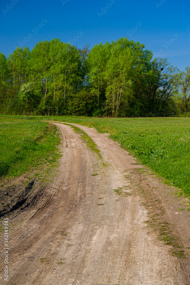 Dirt road in the meadow against the backdrop of deciduous forest. Dirt road in the meadow against the backdrop of deciduous forest.