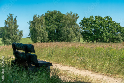 Idyllic scene with a wooden bench overlooking a lush green field