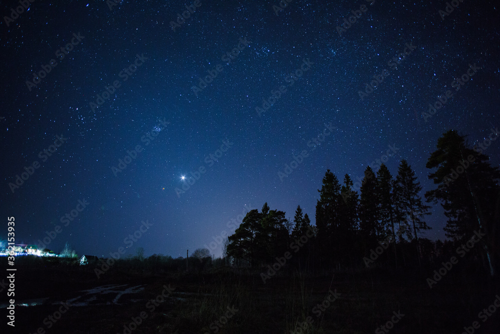 starry night over the forest starry night over the forest