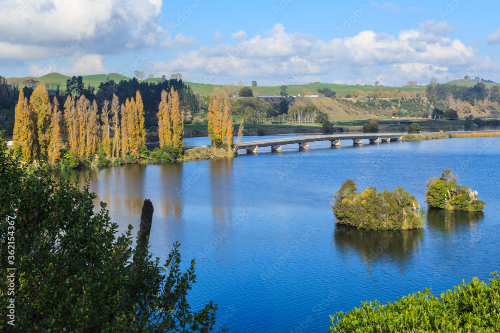 Lake Karapiro, a man-made lake on the Waikato River, New Zealand, in autumn. A bridge crosses the lake beside a stand of poplar trees