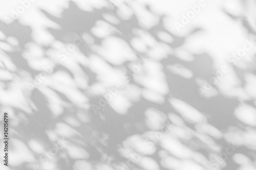 Abstract leaves gray shadow background with light bokeh, natural leaves tree branch falling on white concrete wall texture