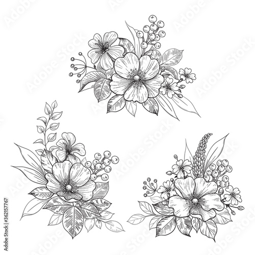 Hand drawn Flowers Bunches  Set