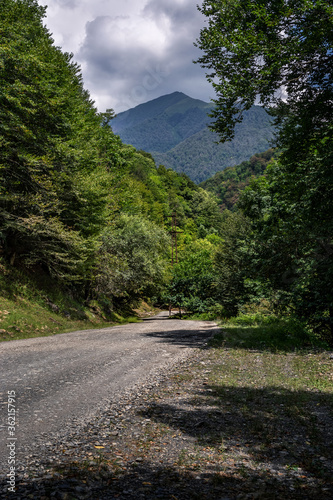 Dirt road among the forest from the valley to the mountains