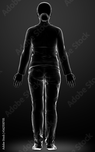 3d rendered illustration of the female body © pixdesign123