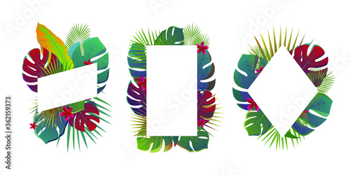 Vector templates with tropical leaves and branches isolated on white background. Colorful illustration for the vertical post designs, invitations, summer flyers. Jungle foliage with space for text.