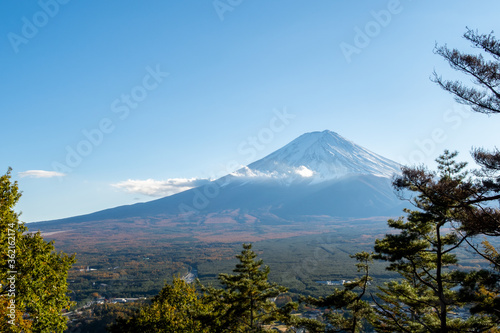 View of Mount Fuji through the trees in the late afternoon from Kawaguchiko Ropeway trails in autumn, Japan.