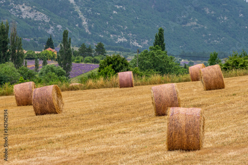 Hay bales on the field against the backdrop of mountains. France. Provence.