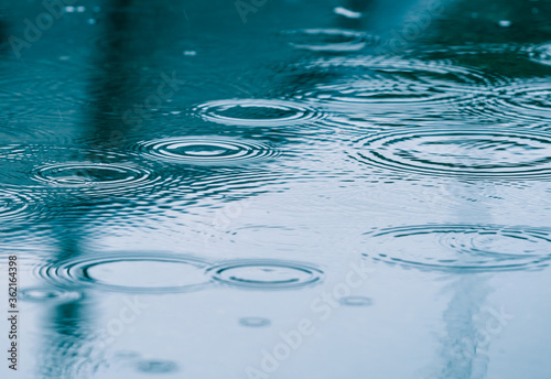 Rain drops on the surface of the water forming ripples
