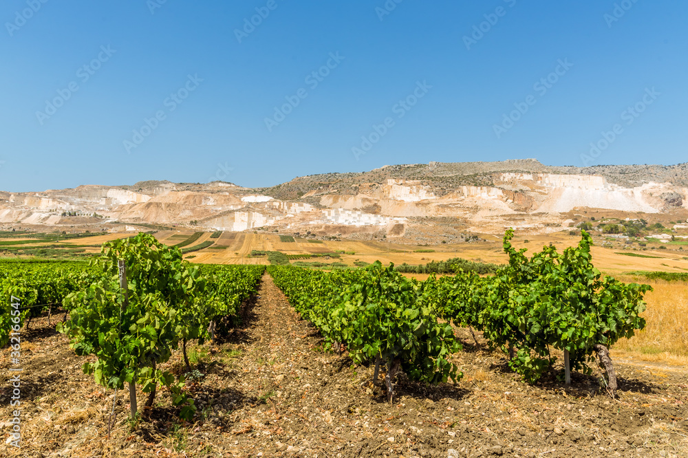 Vines and marble mines near the settlement of Scoppello, Sicily in the summertime Vines and marble mines near the settlement of Scoppello, Sicily in the summertime