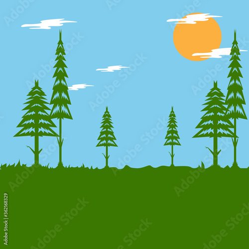 Forest landscape