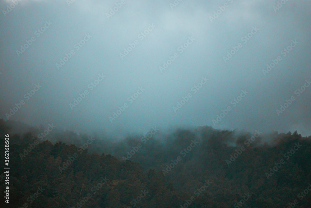 fog fog