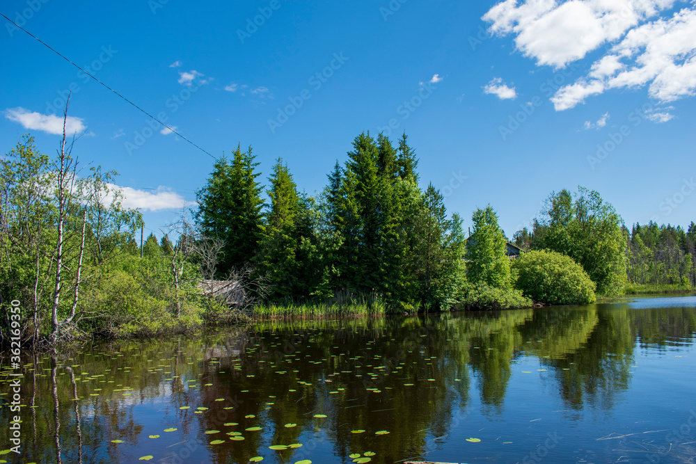 Карелия