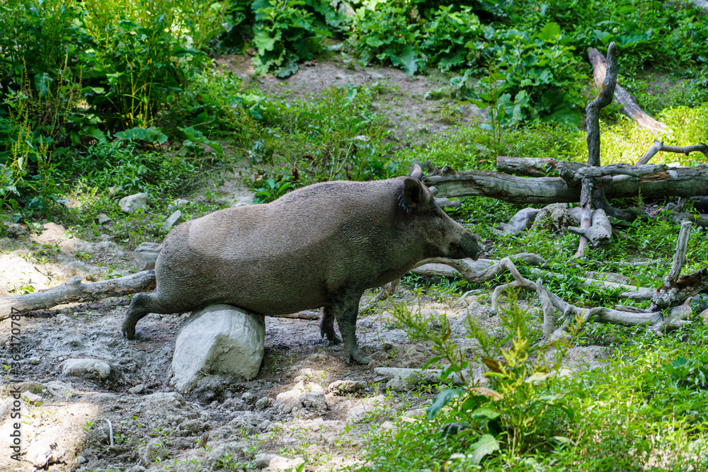 Wildparkleben Wildparkleben
