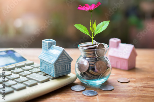 plant money coins saving set with house model for concept investment mortgage finance and home loan refinance photo