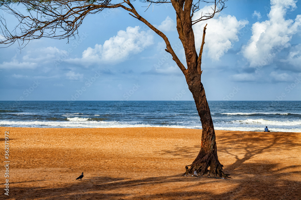 Beautiful calangute Beach of Goa, Famous tourist destination, Goa, India