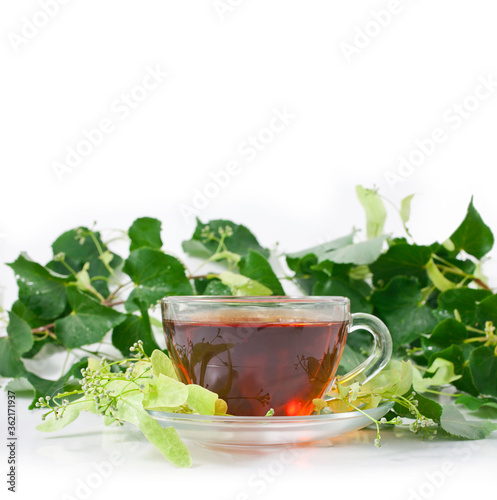 Linden tea in a transparent cup with linden buds and leaves isolated on a white background.