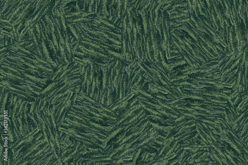 abstract nature background green trees top view