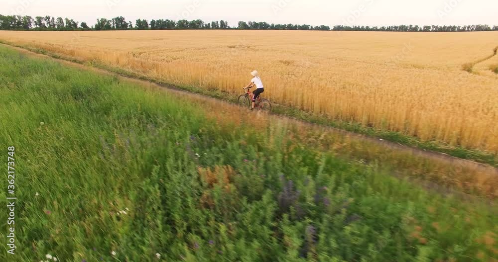 Aerial view of a girl riding a bicycle along a wheat field Aerial view of a girl riding a bicycle along a wheat field
