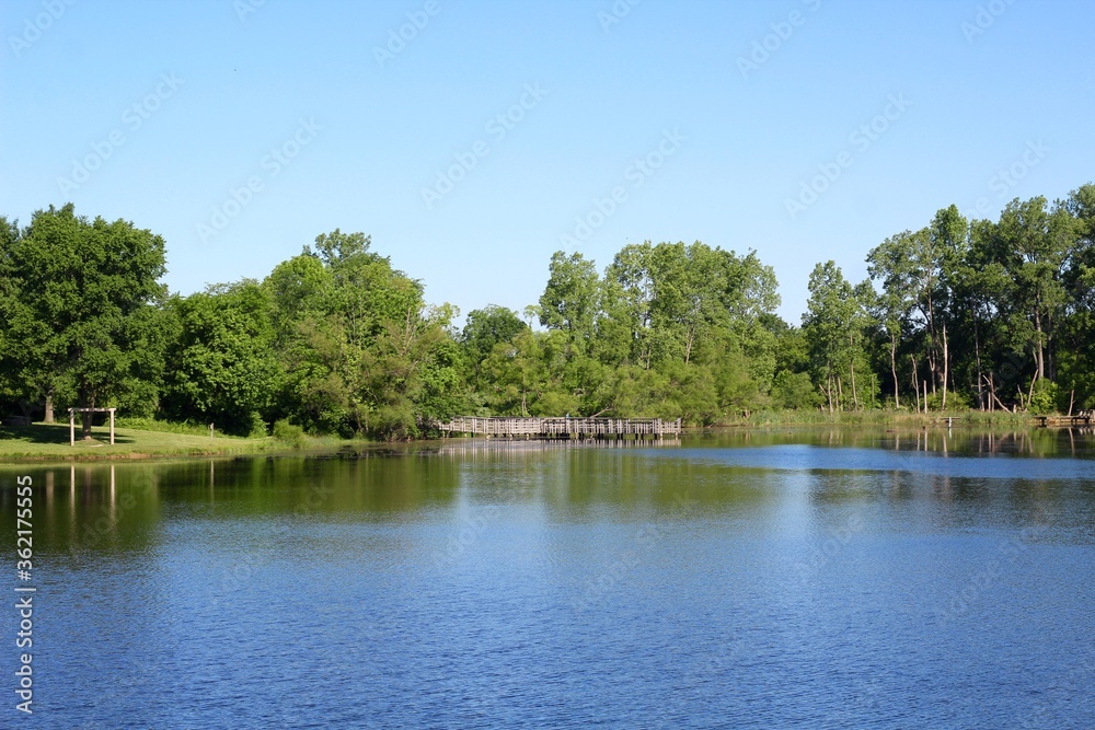 A beautiful clear sunny day at the lake in the countryside. A beautiful clear sunny day at the lake in the countryside.